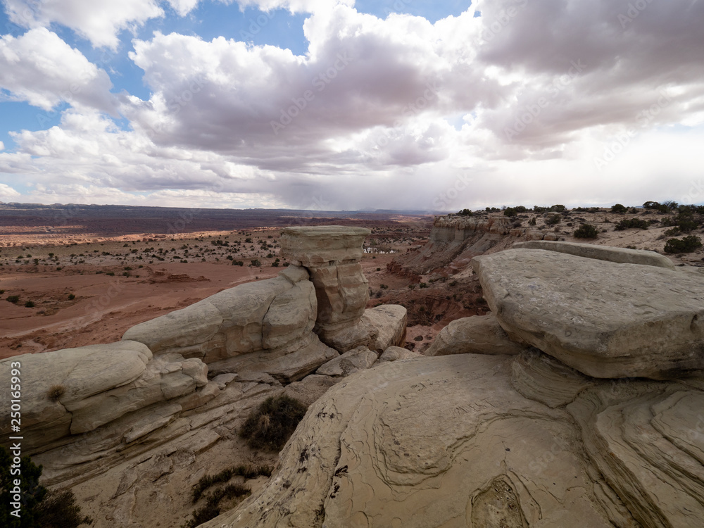 Fototapeta premium Eroded Swirling Rock Formations with a Valley of Orange Rock in the Background