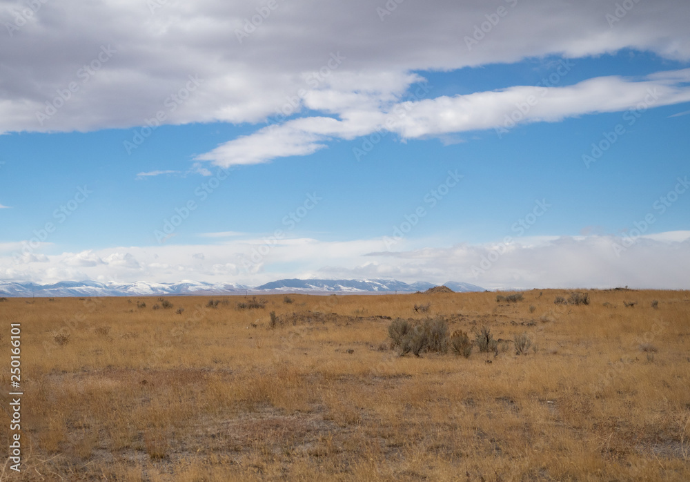 Prairie with Snowcapped Mountains in Distance