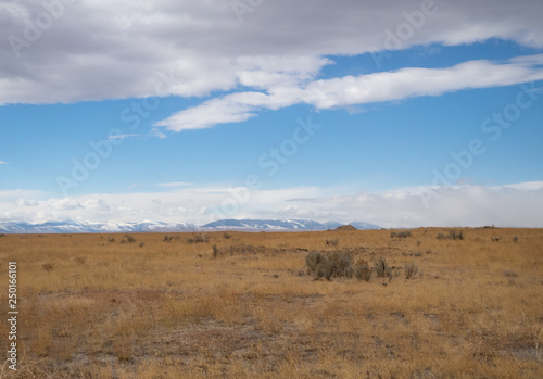 Prairie with Snowcapped Mountains in Distance