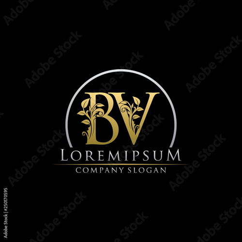 Luxury Gold bv Letter Logo