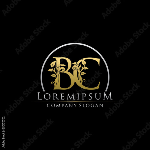 Luxury Gold BC Letter Logo