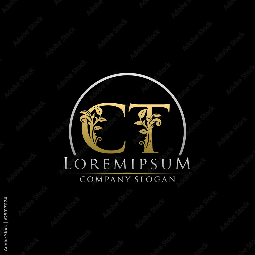 Luxury Gold CT Letter Logo Luxury Gold CT Letter Logo