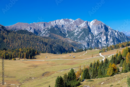 Obraz na plátně Blick über die Plätzwiese, Dolomiten, Südtirol