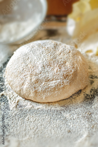 Whole Grain Flour Dough