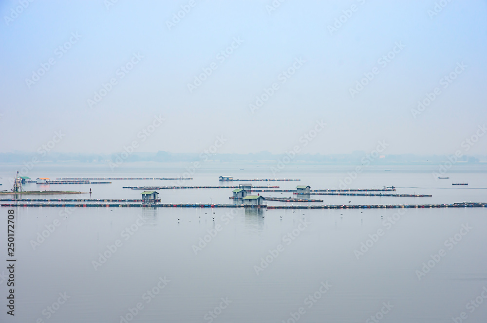 The raft floating fish farming and birds in Krasiew dam ,Supanburi Thailand.