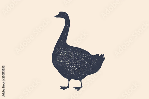 Goose, bird. Concept design of farm animals