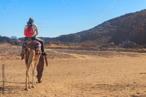Young woman tourist riding camel in Arabian desert, Egypt