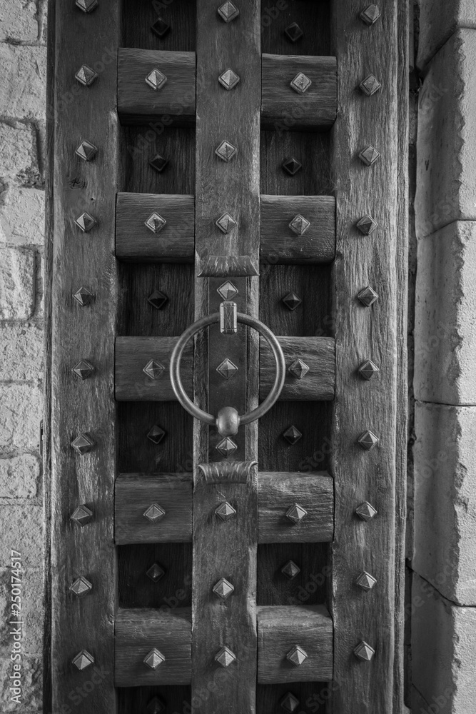 Castle Door Castle Door
