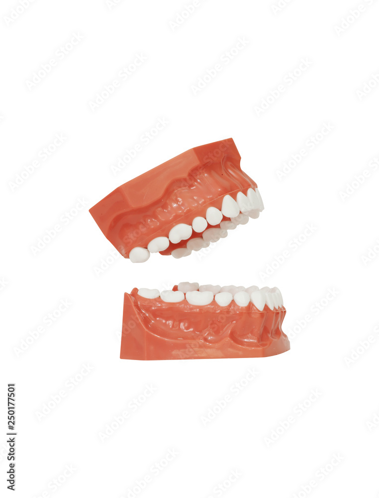 Obraz premium Dental tools on isolated white background