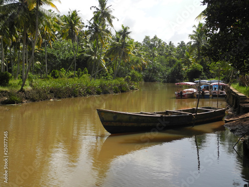 Boat anchored on backwater   in Kerala  Kochi