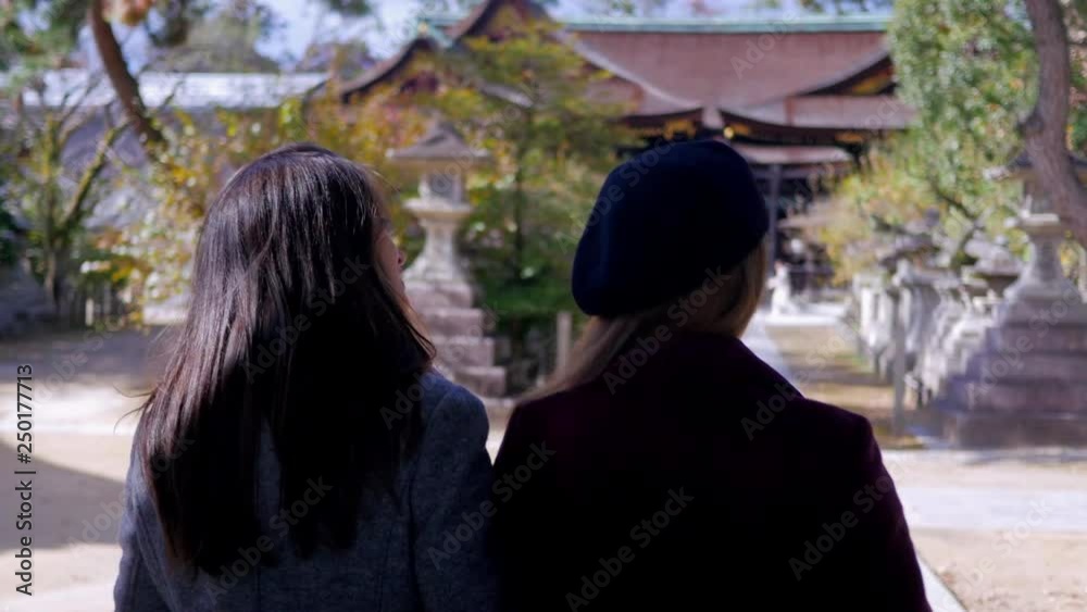 Attractive women sightseeing Temple in Kyoto Japan. 4K