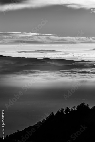 Trees silhouettes against the sky at dusk, with mountains layers in the background