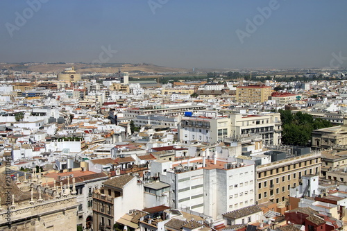 View of Seville from the height of the Cathedral © b201735