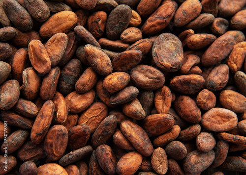 Cocoa beans background
