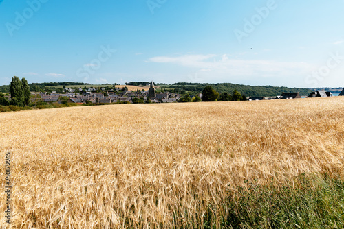 Scenic view of Saint-Suliac with wheat fields