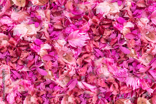 Dried  flowers and leaves  background © Sirichai Puangsuwan