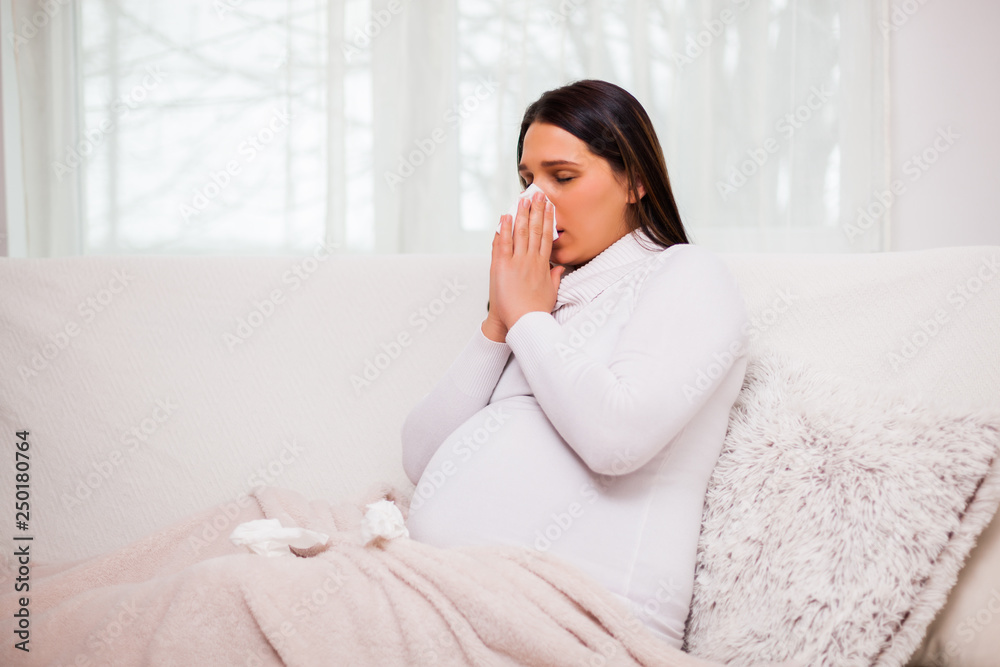 Pregnant woman is having cold. She is blowing her nose. Pregnant woman is having cold. She is blowing her nose.