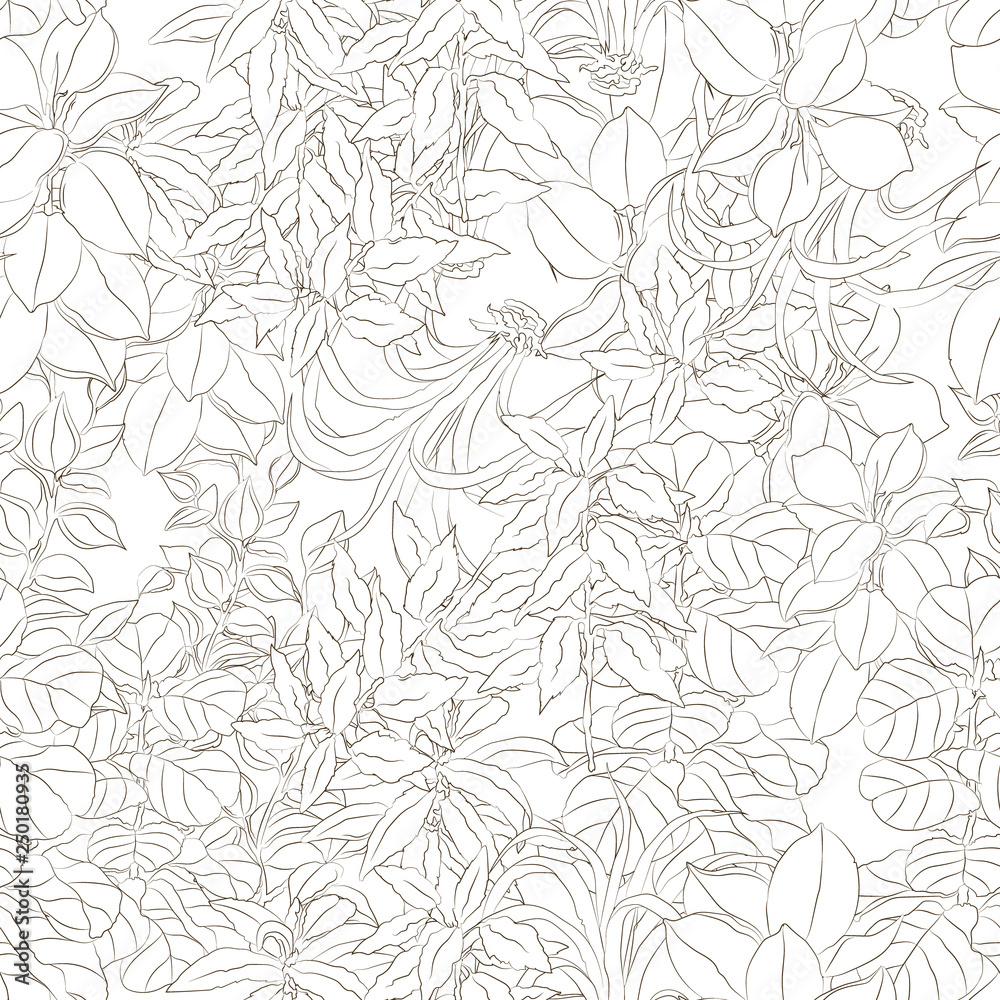vector hand drawn plant pattern isolated on white. floral and natural themes, decoration, printed goods.