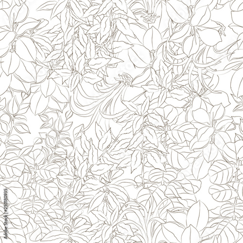 vector hand drawn plant pattern isolated on white. floral and natural themes  decoration  printed goods.
