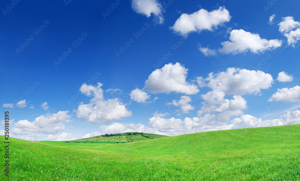 Idyllic view, green field and the blue sky with white clouds