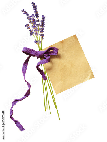 Paper tag with bow and lave...