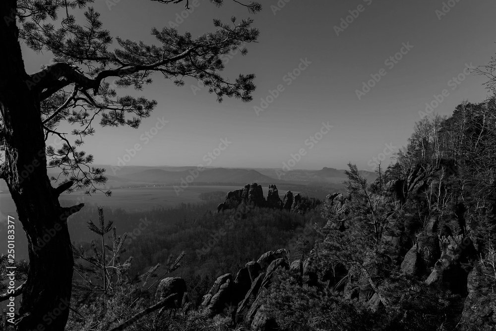 Naklejka premium Elbsandsteingebirge