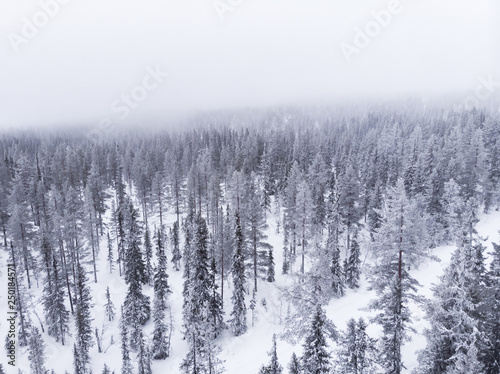 Aerial view of a frozen forest with snow covered trees in Idre, Sweden during a morning with low hanging clouds and fog in winter.  © Viktorishy