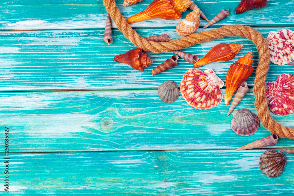 Naklejka premium Different sea shells on color wooden background