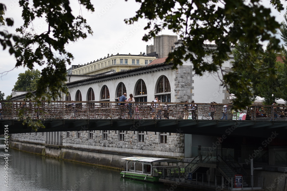 Ljubljana bridge