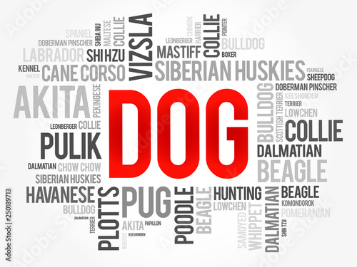 List of most popular dog breeds word cloud collage, animal concept background