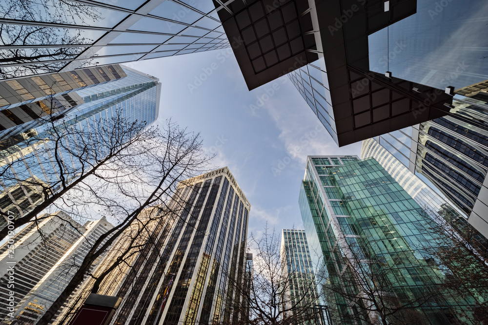 Fototapeta premium low angle view of skyscrapers