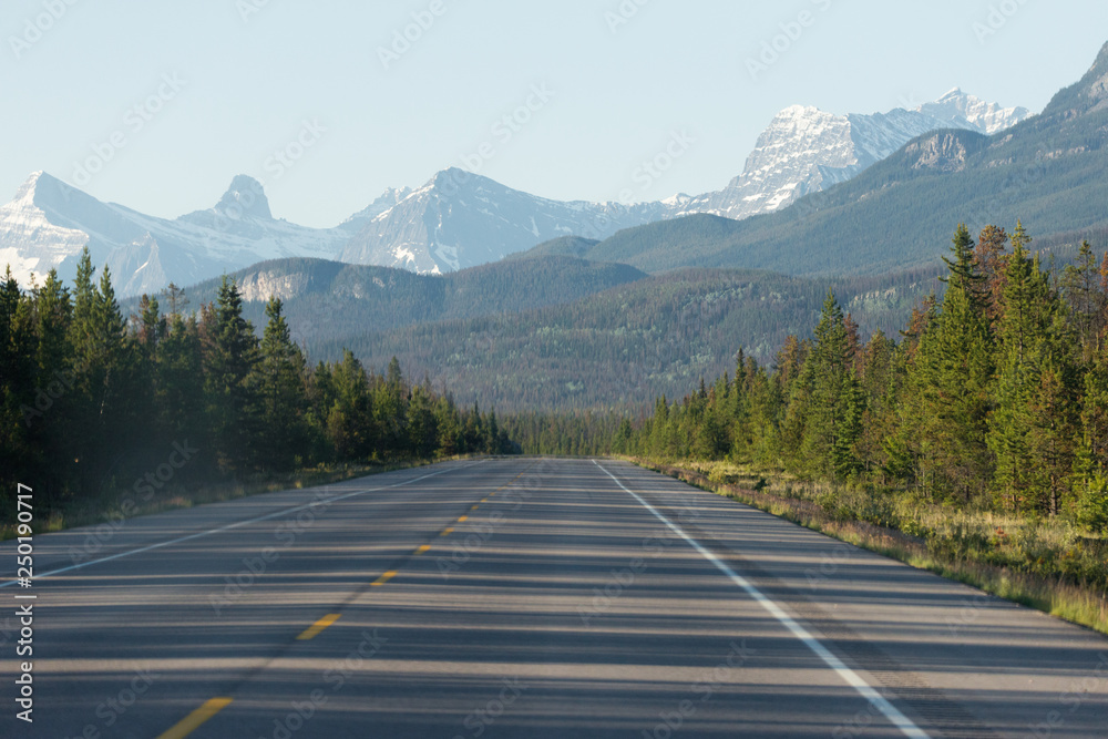 Fototapeta premium Roadtrip