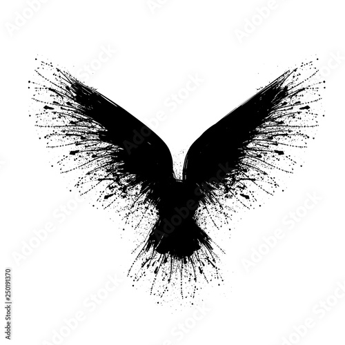 Black blots raven
