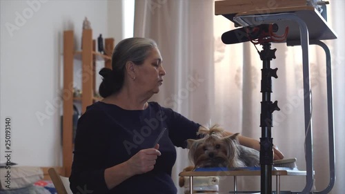 Veterinary Specialists is recording first blog about dog hair care. Animal VLOG concept.