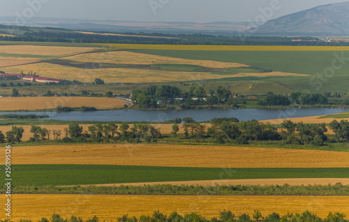 Fields with a pond. Sunflower fields with a pond. Agricultural landscape with pond  lake.