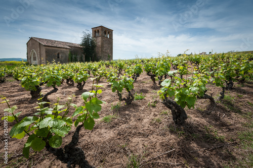 Chapelle de Chevennes dans les vignes du beaujolais photo