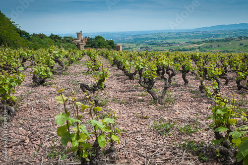 Vue sur le château de Montmelas dans le Beaujolais photo