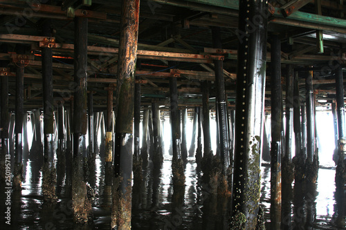 The barnacled wooden poles holding up a fishing pier.