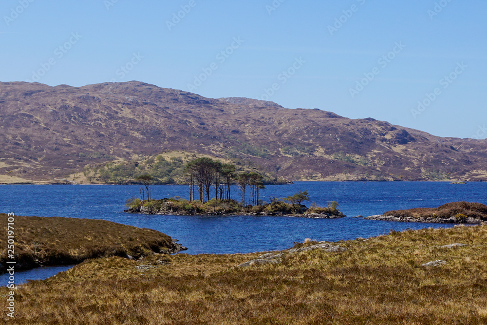 Trees on an island located in Loch Assynt, Scotland