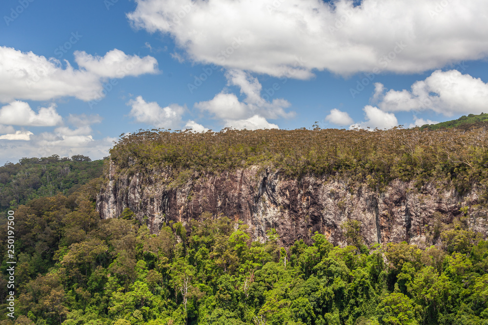 Green forested cliff in Springbrook National Park in Queensland, Australia