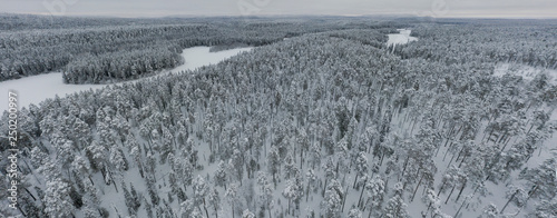 Amazing Wild Olanga River In Frozen Forest. Really Snowly Winter On The North. Aerial,  Paanajärvi, Karelia, Russia photo