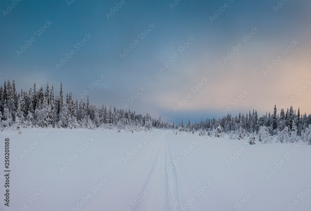 Panorama of winter snowy landscape with forest and mountain, Paanajärvi, Karelia, Russia Panorama of winter snowy landscape with forest and mountain, Paanajärvi, Karelia, Russia