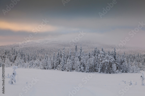 Panorama of winter snowy landscape with forest and mountain, Paanajärvi, Karelia, Russia