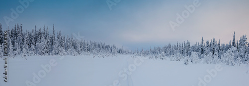 Panorama of winter snowy landscape with forest and mountain, Paanajärvi, Karelia, Russia © Kirill Trifonov