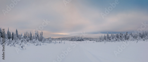 Panorama of winter snowy landscape with forest and mountain, Paanajärvi, Karelia, Russia