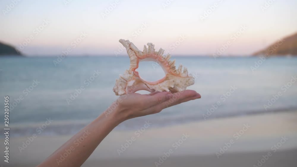 Close up of young woman hand holding big shell on the beach.