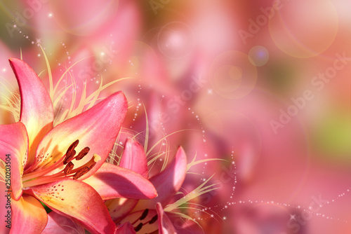 Background with pink flowers. Greeting card with lilies. Blurred background.