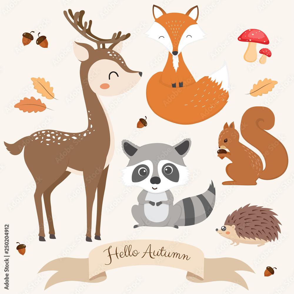 Naklejka premium Set of cute woodland animals.