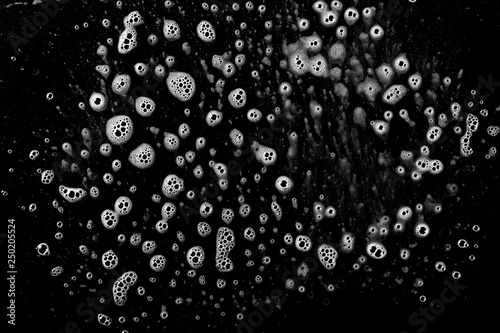 Billede på lærred Soap foam, lather isolated on black, with clipping path, texture and background,