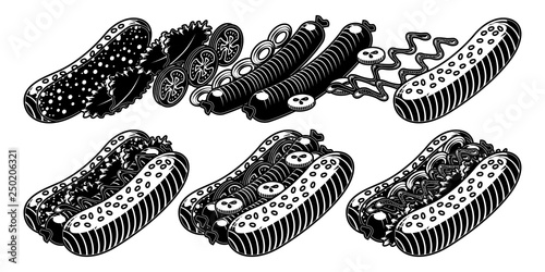 Hot Dog and element food icon set. Cartoon hand draw set of Hot Dog isoleted on white. Fast food element food icons for web design, menu, game